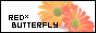 f F ʐ^fމ ` red*butterfly